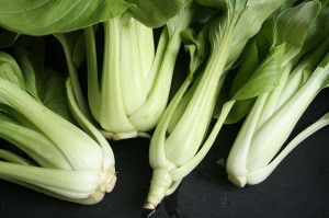 aquaponics vegetables for a long and healthy life